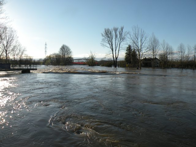 poplave